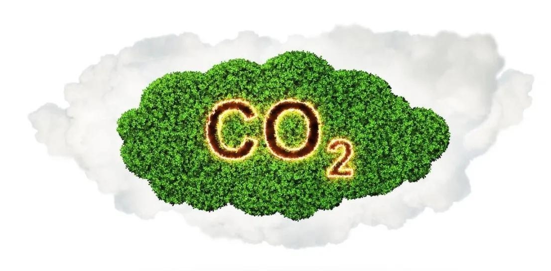 浙江孚諾醫(yī)藥股份有限公司溫室氣體核查報告公示