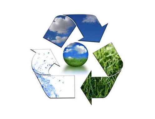 浙江孚諾醫(yī)藥股份有限公司2023年度環(huán)境信息依法披露報告