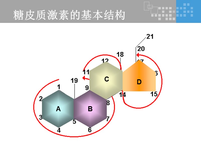 氟輕松是如何發(fā)揮其藥理作用的？
